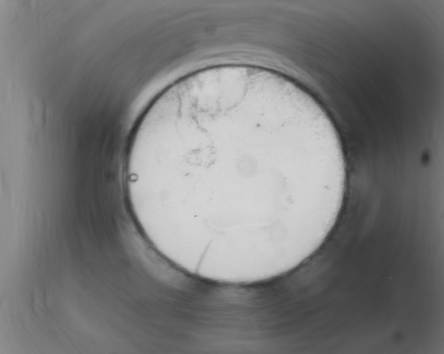 X0000116371514200912231305