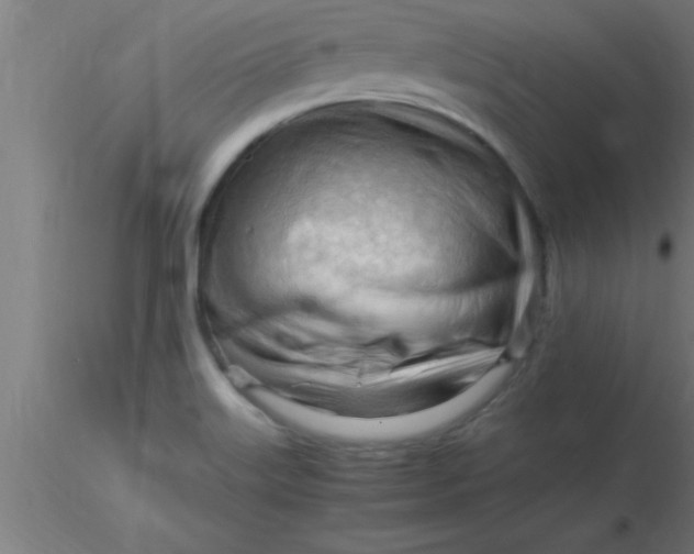 X0000116371515200912231305