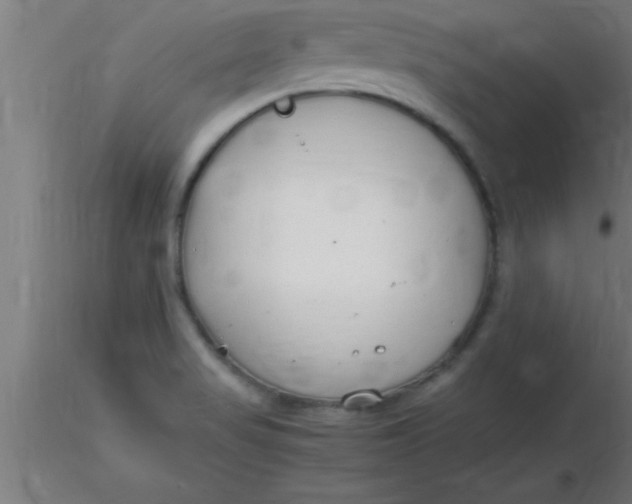 X0000116371517200912231305