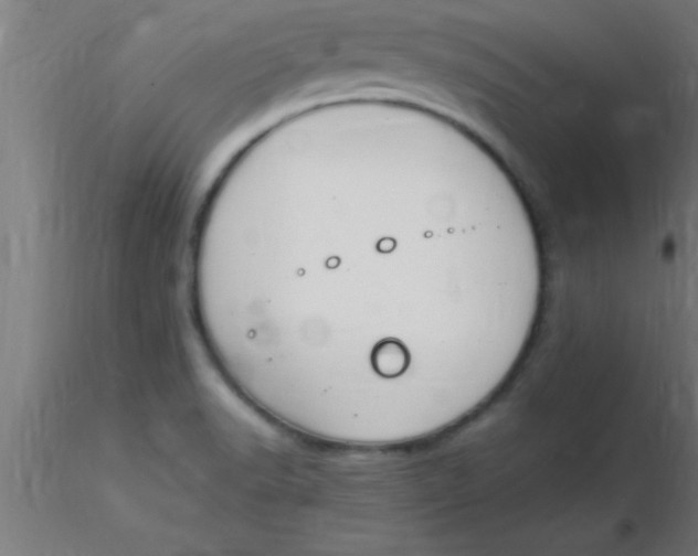 X0000116371518200912231305