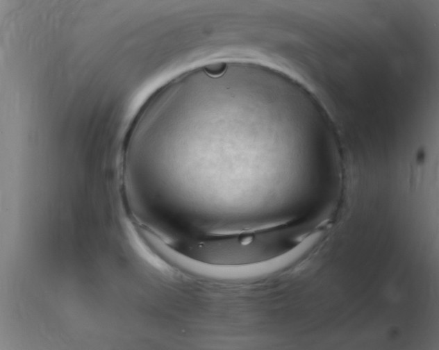 X0000116371519200912231305