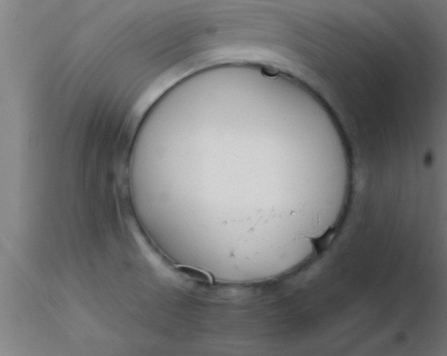 X0000116371521200912231305