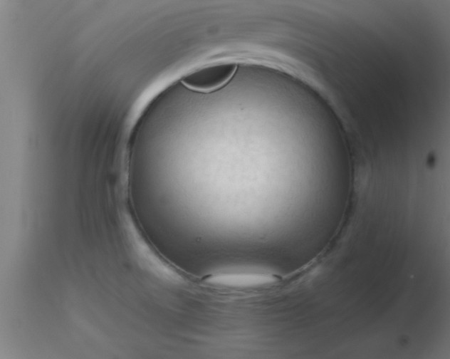 X0000116371522200912231305