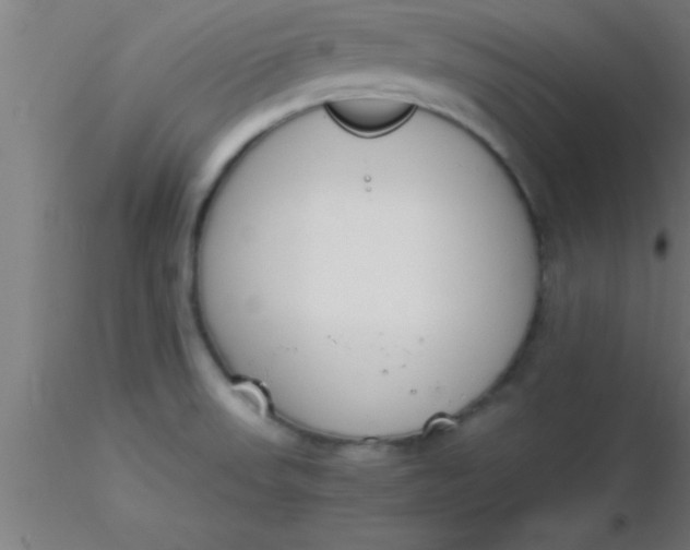 X0000116371523200912231305