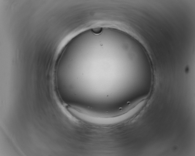 X0000116371525200912231305