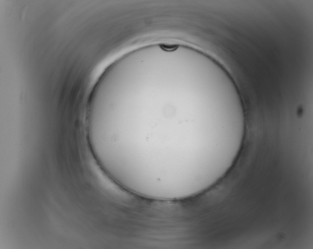 X0000116371526200912231305