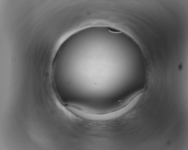 X0000116371527200912231305