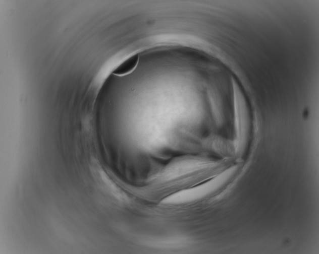 X0000116371529200912231305