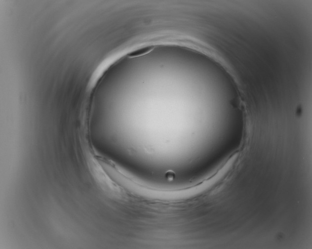 X0000116371530200912231305