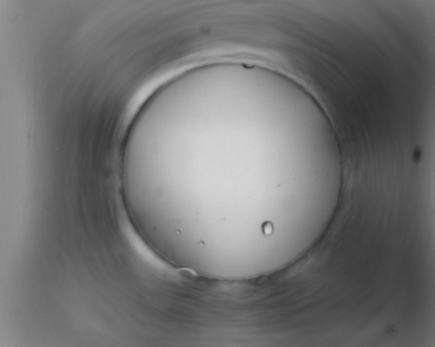 X0000116371531200912231305