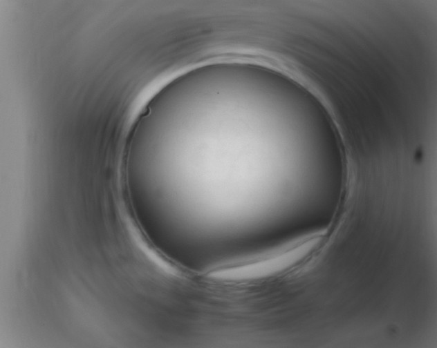 X0000116371533200912231305