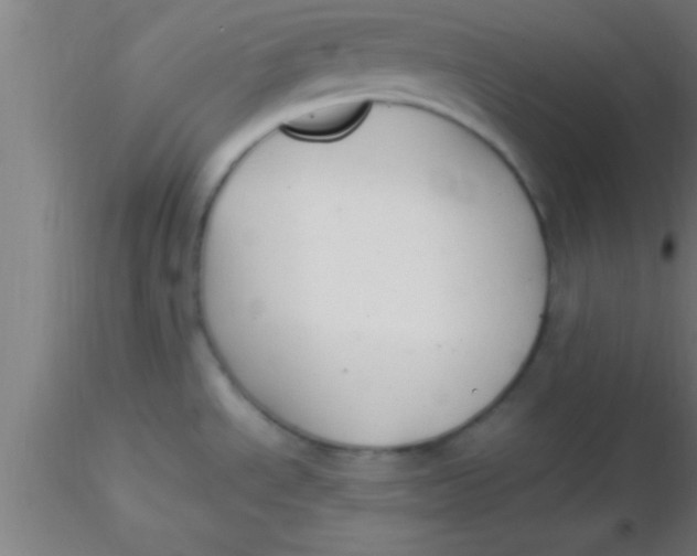 X0000116371534200912231305