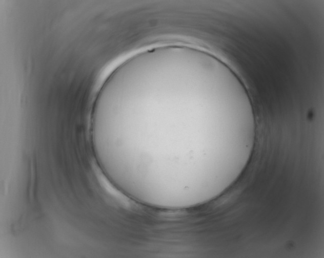 X0000116371535200912231305