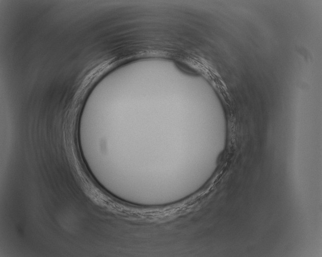 X0000116370001200912291719