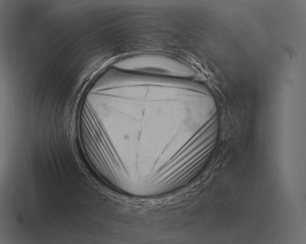 X0000116370002200912291719