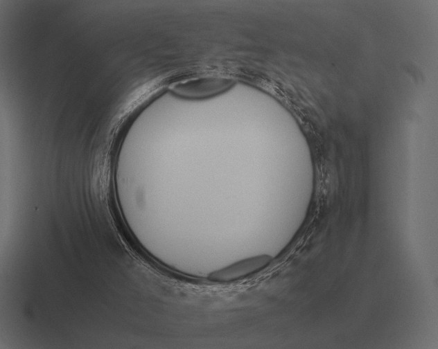 X0000116370005200912291719