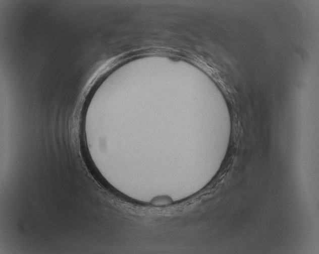 X0000116370007200912291719