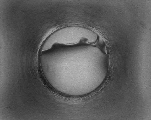 X0000116370008200912291719