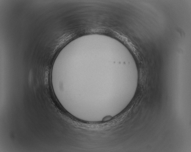 X0000116370010200912291719