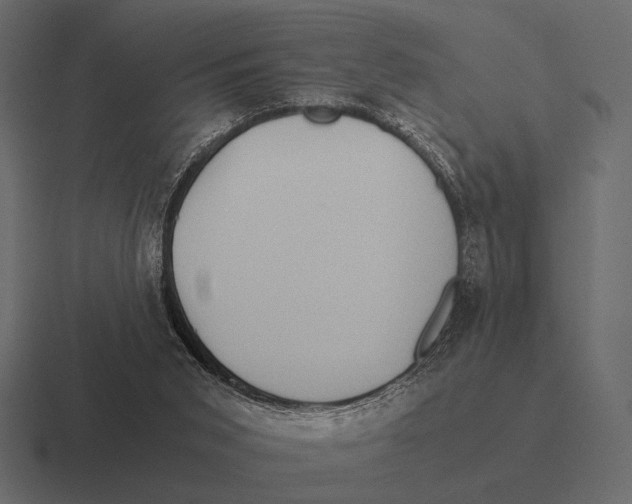 X0000116370015200912291719