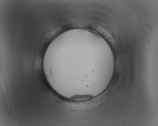 X0000116370017200912291719