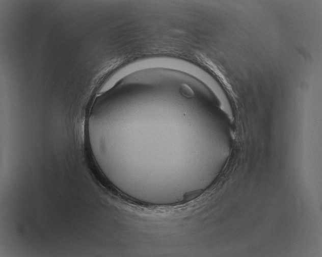 X0000116370019200912291719