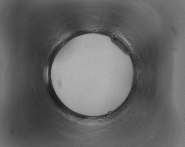 X0000116370020200912291719