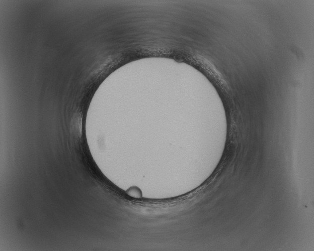 X0000116370021200912291719