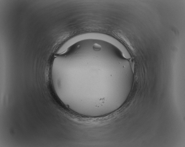 X0000116370023200912291719