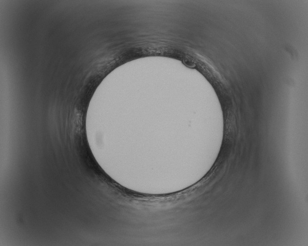 X0000116370025200912291719