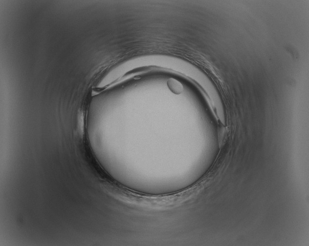 X0000116370027200912291719