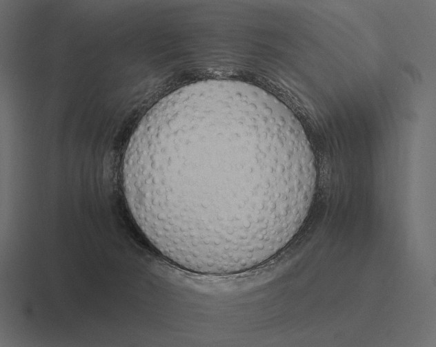 X0000116370030200912291719