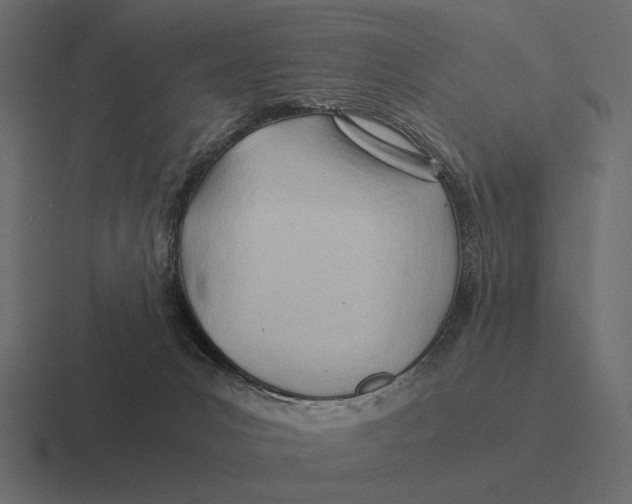 X0000116370031200912291719