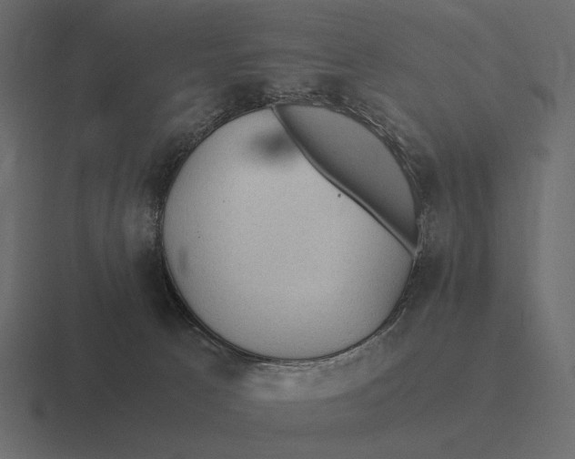 X0000116370033200912291719