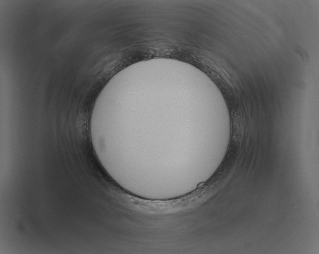 X0000116370034200912291719