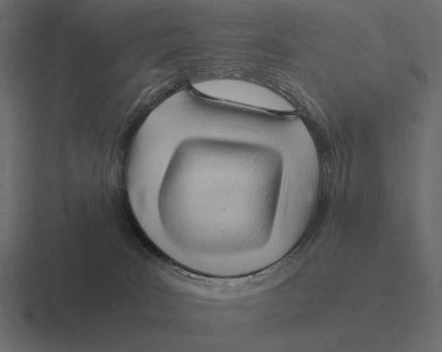 X0000116370035200912291719