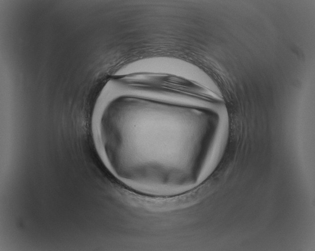 X0000116370039200912291719