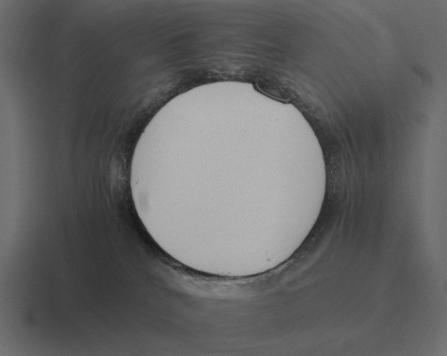 X0000116370040200912291719