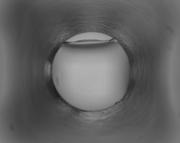 X0000116370041200912291719