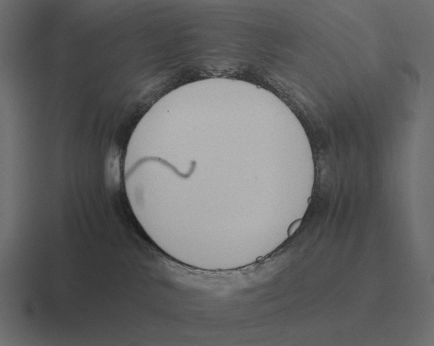 X0000116370042200912291719