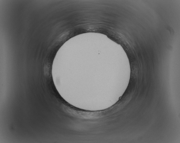 X0000116370044200912291719