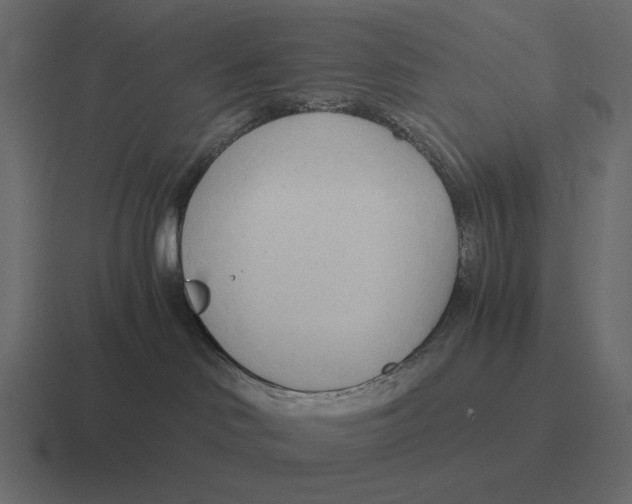 X0000116370046200912291719