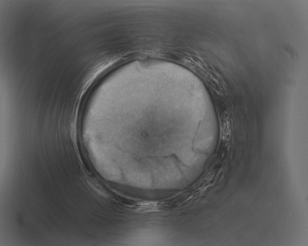 X0000116370052200912291718