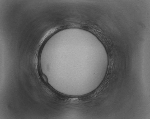 X0000116370054200912291718