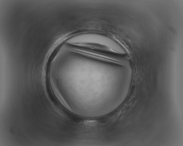 X0000116370055200912291718