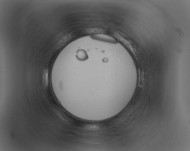 X0000116370061200912291718