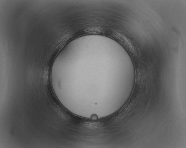 X0000116370065200912291718