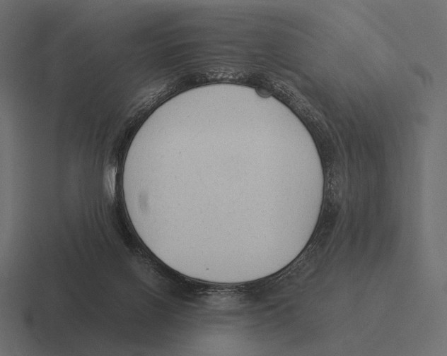 X0000116370070200912291718