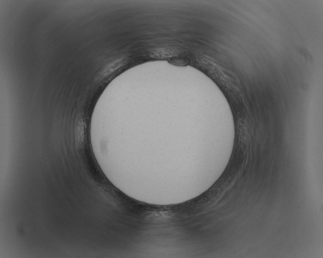 X0000116370071200912291718