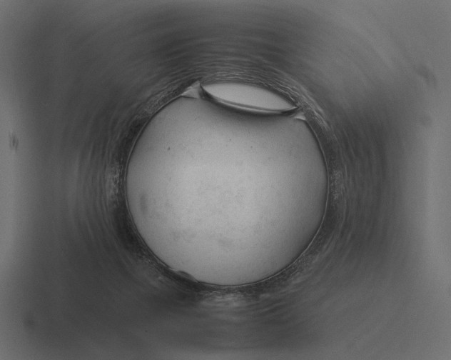 X0000116370073200912291718